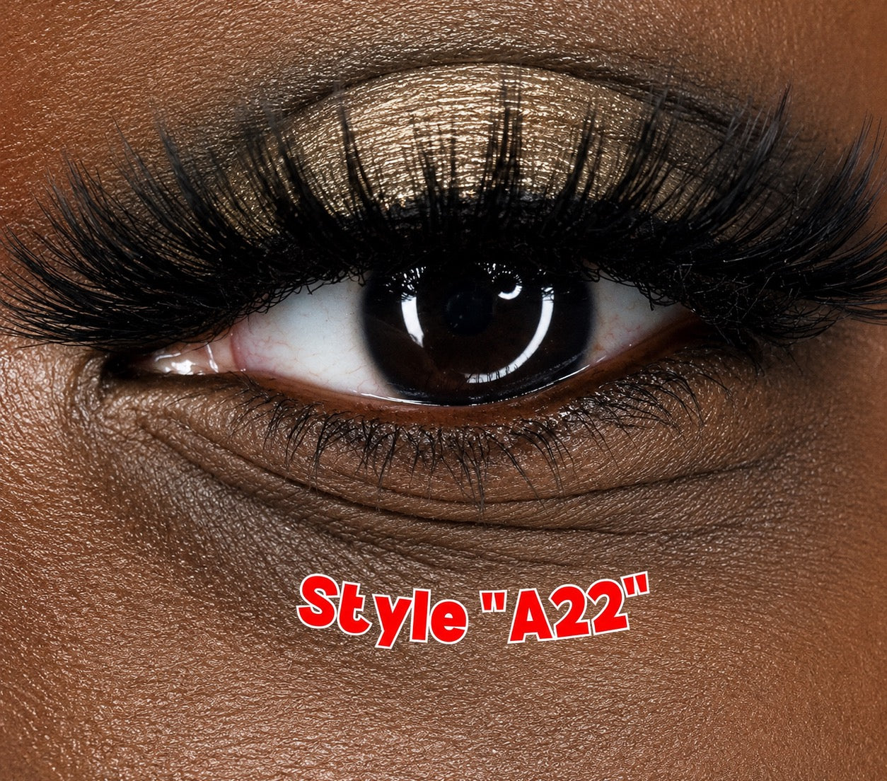 “A22” Lash